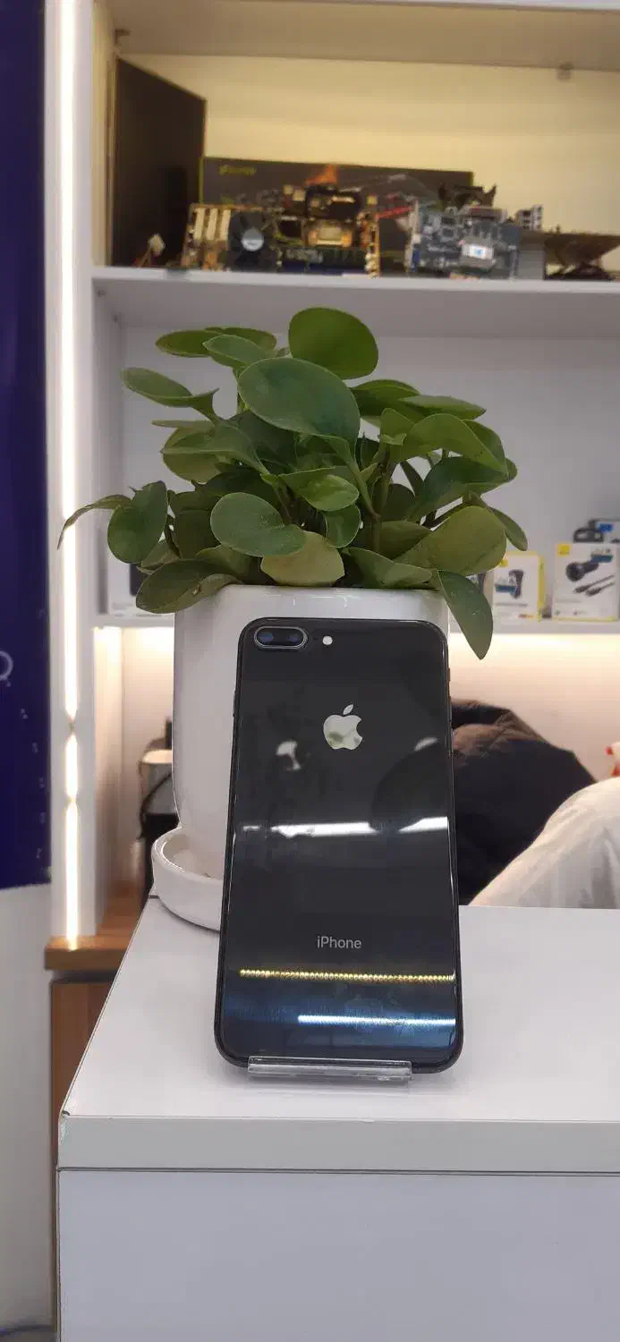 iphone8plus 256GB|موبایل|تهران, صادقیه|دیوار