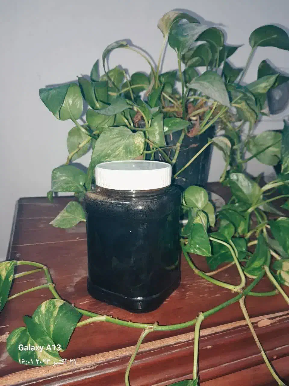 انواع ترشی|خوردنی و آشامیدنی|کاشان, شهدا|دیوار