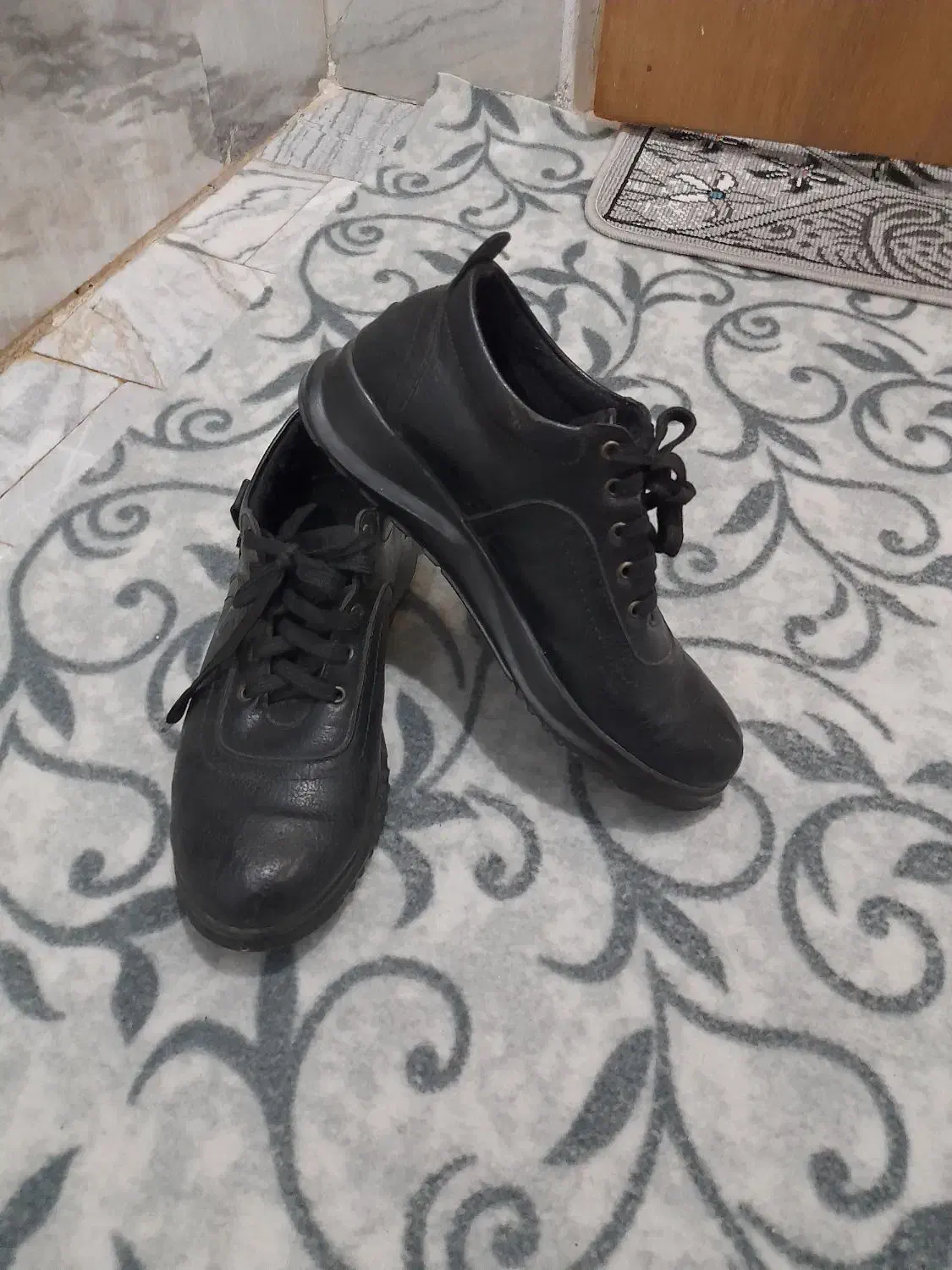 کفش|کیف، کفش، کمربند|سنقر, |دیوار