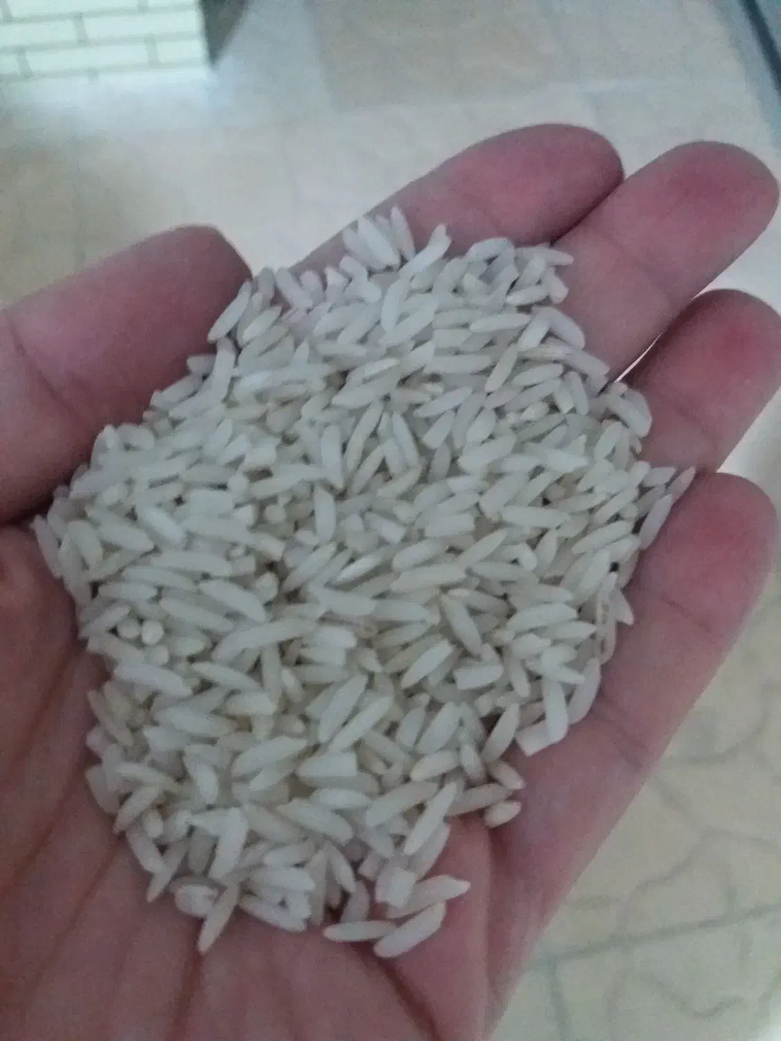 ۵۰ کیلو برنج هاشمی خالص از شالیزارهای ویرمونی|خوردنی و آشامیدنی|آستارا, |دیوار