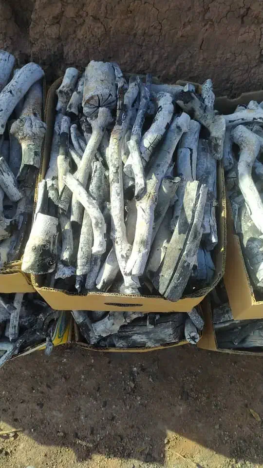 پخش زغال پسته|عمدهفروشی|تهران, ستارخان|دیوار