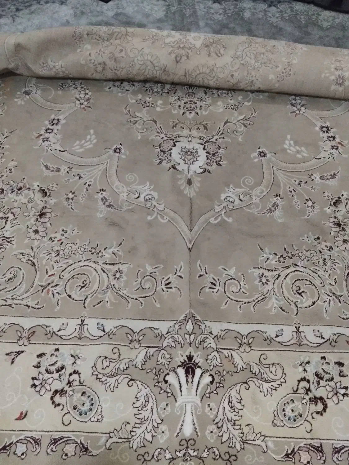 فرش ۷۰۰شانه|فرش|مشهد, نوید|دیوار