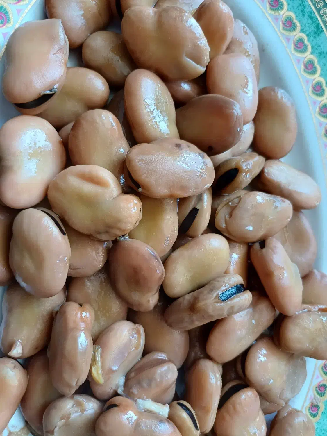 باقالی خشک|خوردنی و آشامیدنی|قم, مهر آباد|دیوار