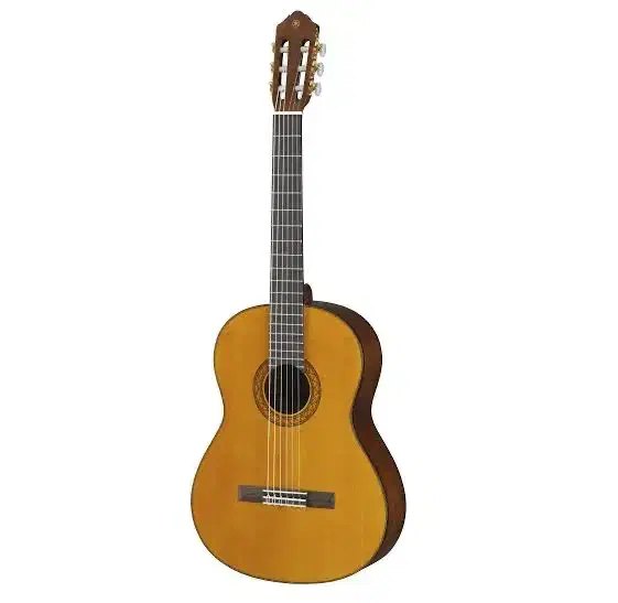 گیتار کلاسیک|گیتار، بیس، امپلیفایر|تهران, دانشگاه شریف|دیوار