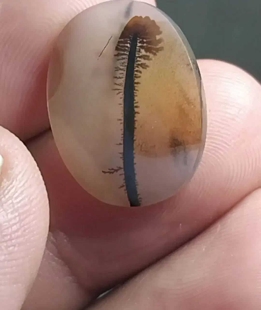 سنگ شجر|جواهرات|اراک, |دیوار