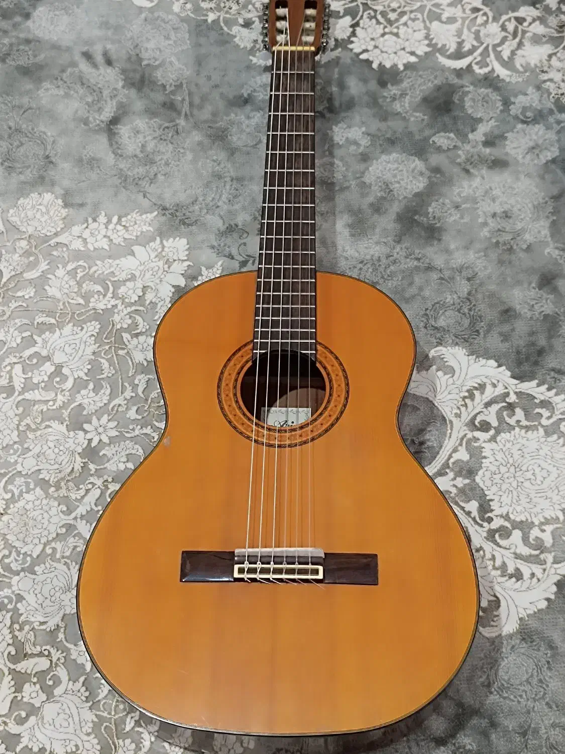 گیتار ARIA AK80|گیتار، بیس، امپلیفایر|پردیس, فاز ۸|دیوار