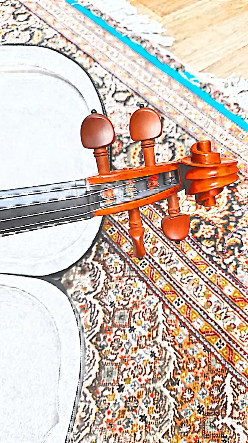 ویولن|ویولن|تهران, صادقیه|دیوار