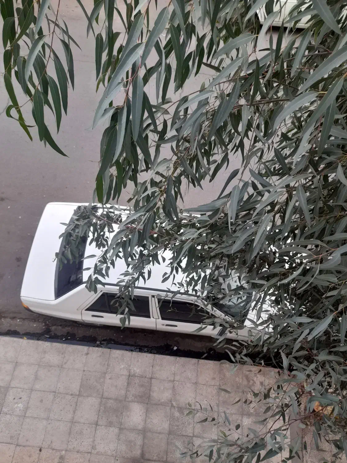 پراید ۹۸|خودرو سواری و وانت|قم, نیروگاه|دیوار