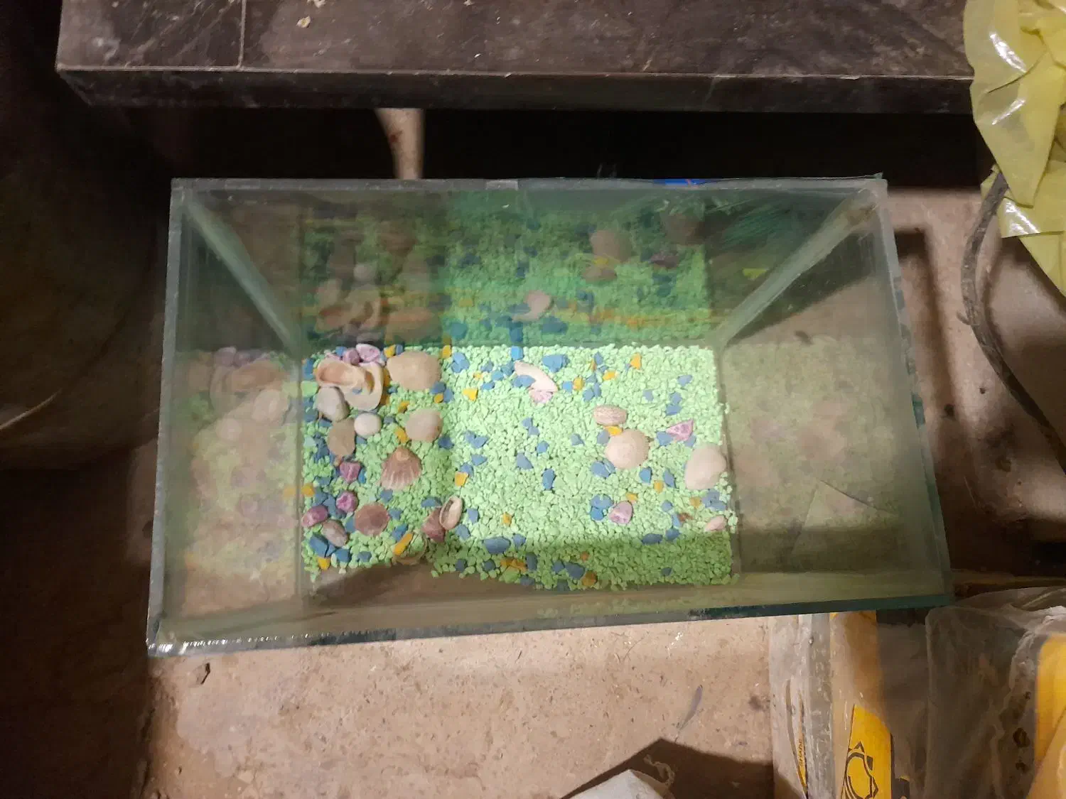 اکواریوم|ماهی|دهگلان, |دیوار