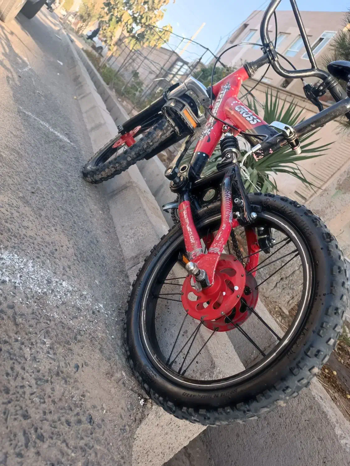 دوچرخه کراس ۱۶ حرفه ای جفت کمک|دوچرخه، اسکیت، اسکوتر|نیشابور, دربقاضی|دیوار