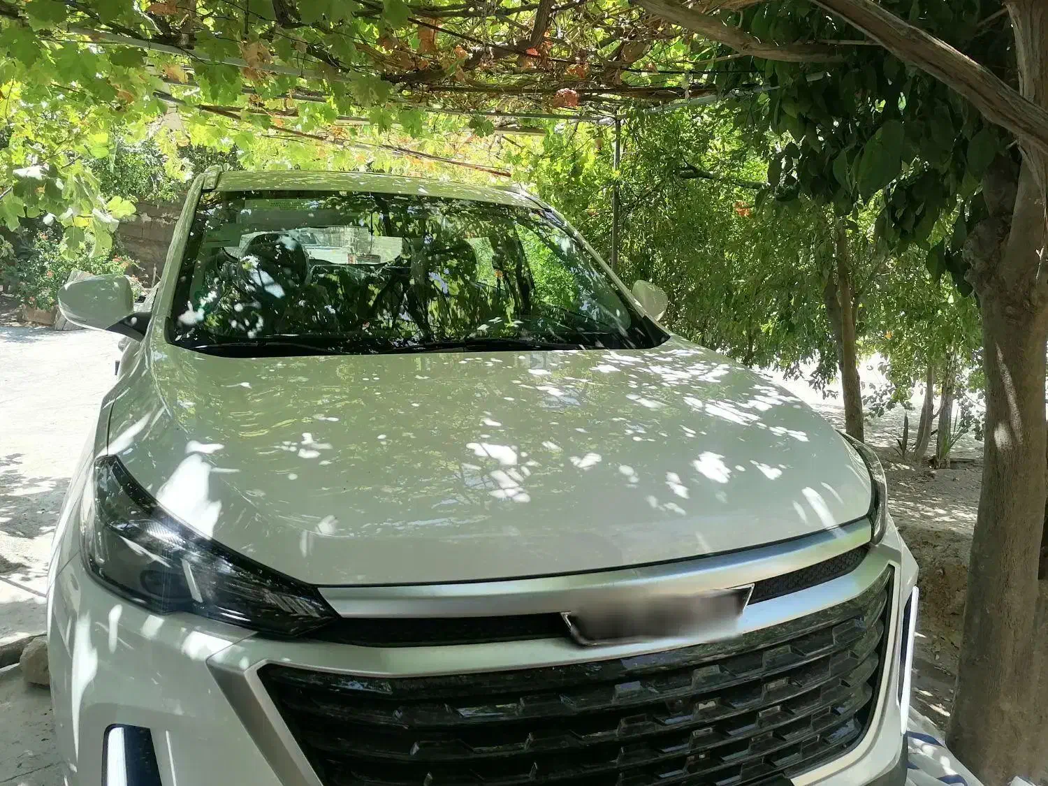 تیگاردx35|خودرو سواری و وانت|مرودشت, فرهنگ|دیوار