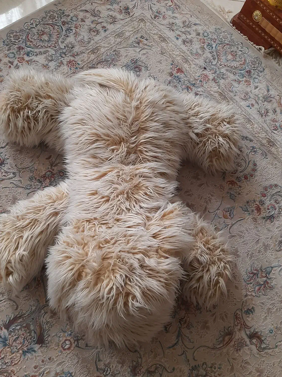 گلشهر|اسباببازی|کرج, گلشهر|دیوار