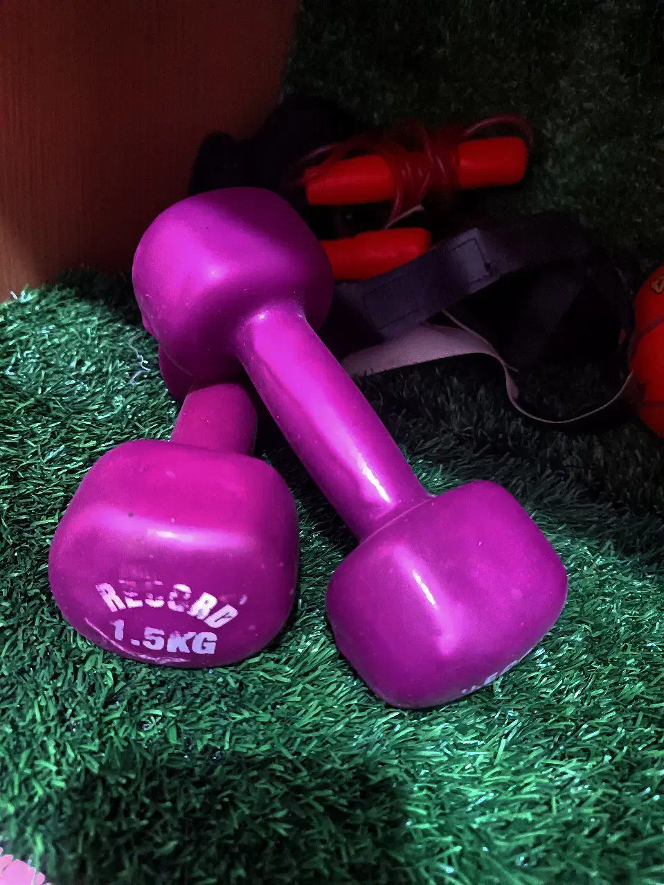 دمبل 1.5|تجهیزات ورزشی|کرج, فاز ۴ مهرشهر|دیوار