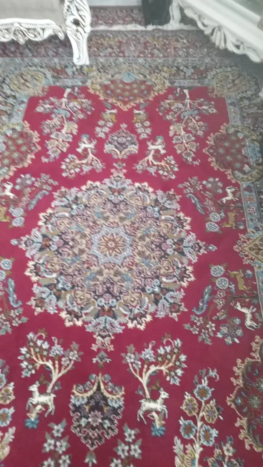 فرش۹متری|فرش|لوشان, |دیوار