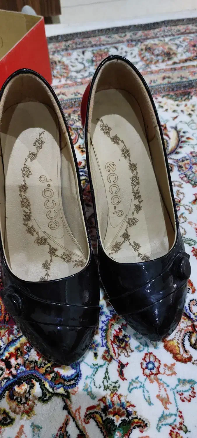 بوت|کیف، کفش، کمربند|کرج, کوی امامیه|دیوار