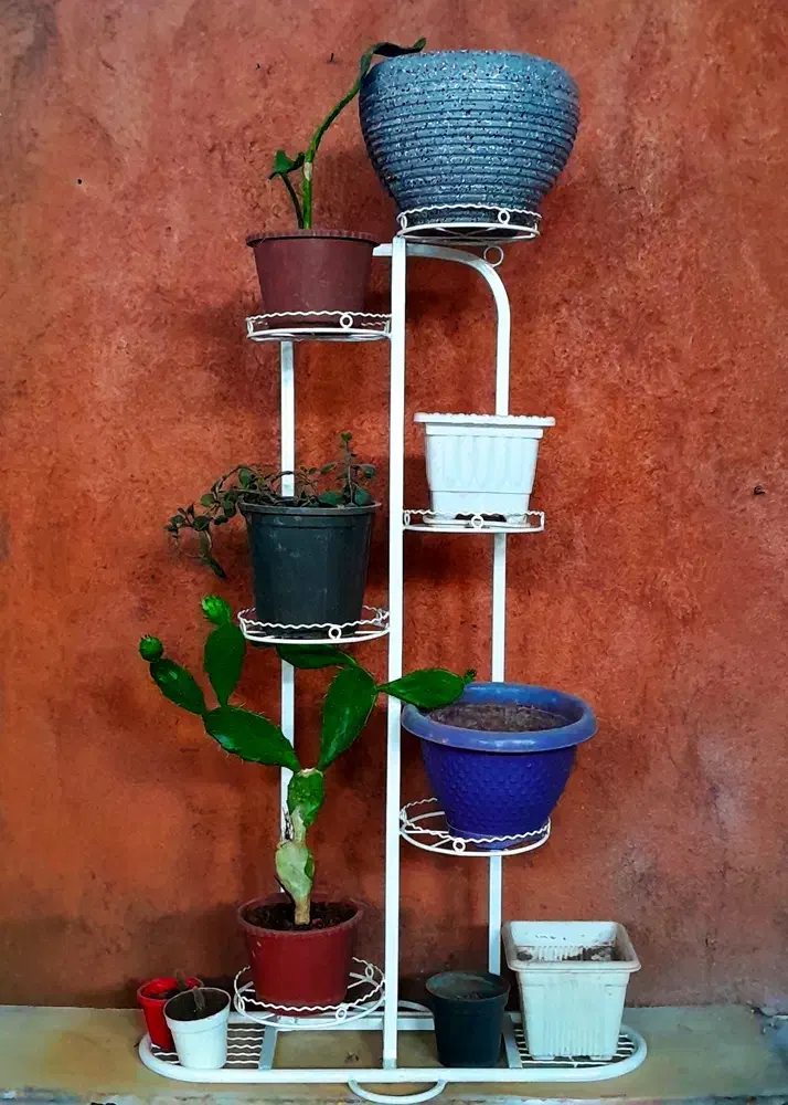 جا گلدانی استند|گل و گیاه طبیعی|اهر, |دیوار