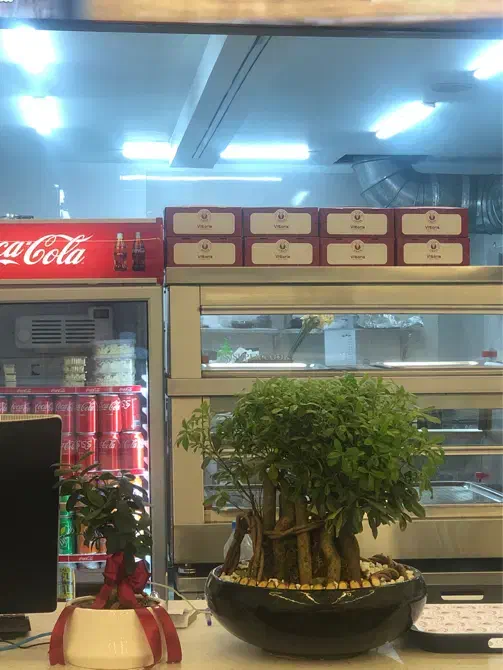 کانترکار صندوقدار خانم فست فود افسریه|استخدام خدمات فروشگاه و رستوران|تهران, افسریه شمالی|دیوار