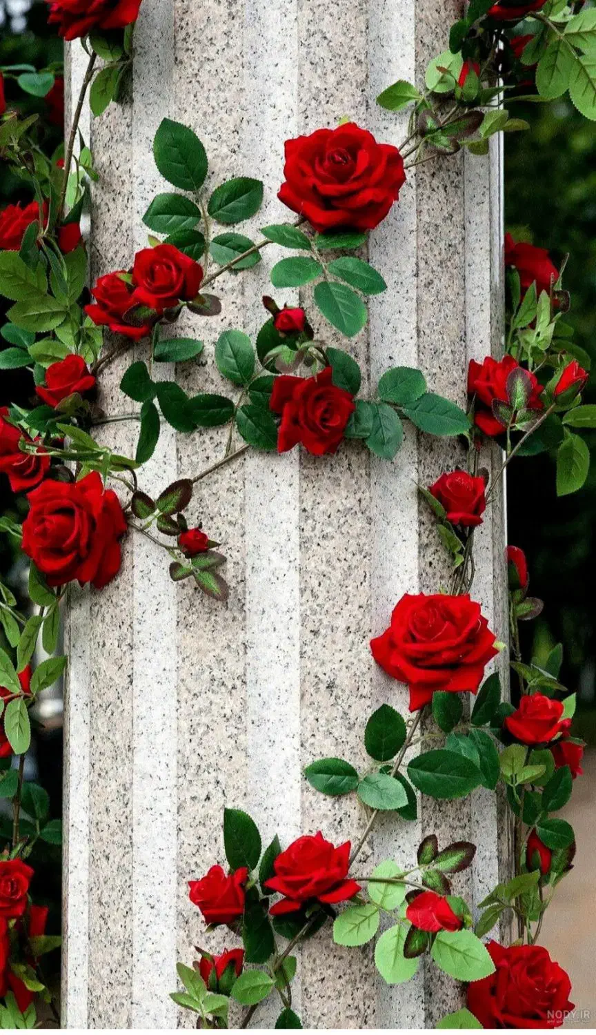 باغبانی و فضای سبز|خدمات باغبانی و درختکاری|زاهدان, |دیوار