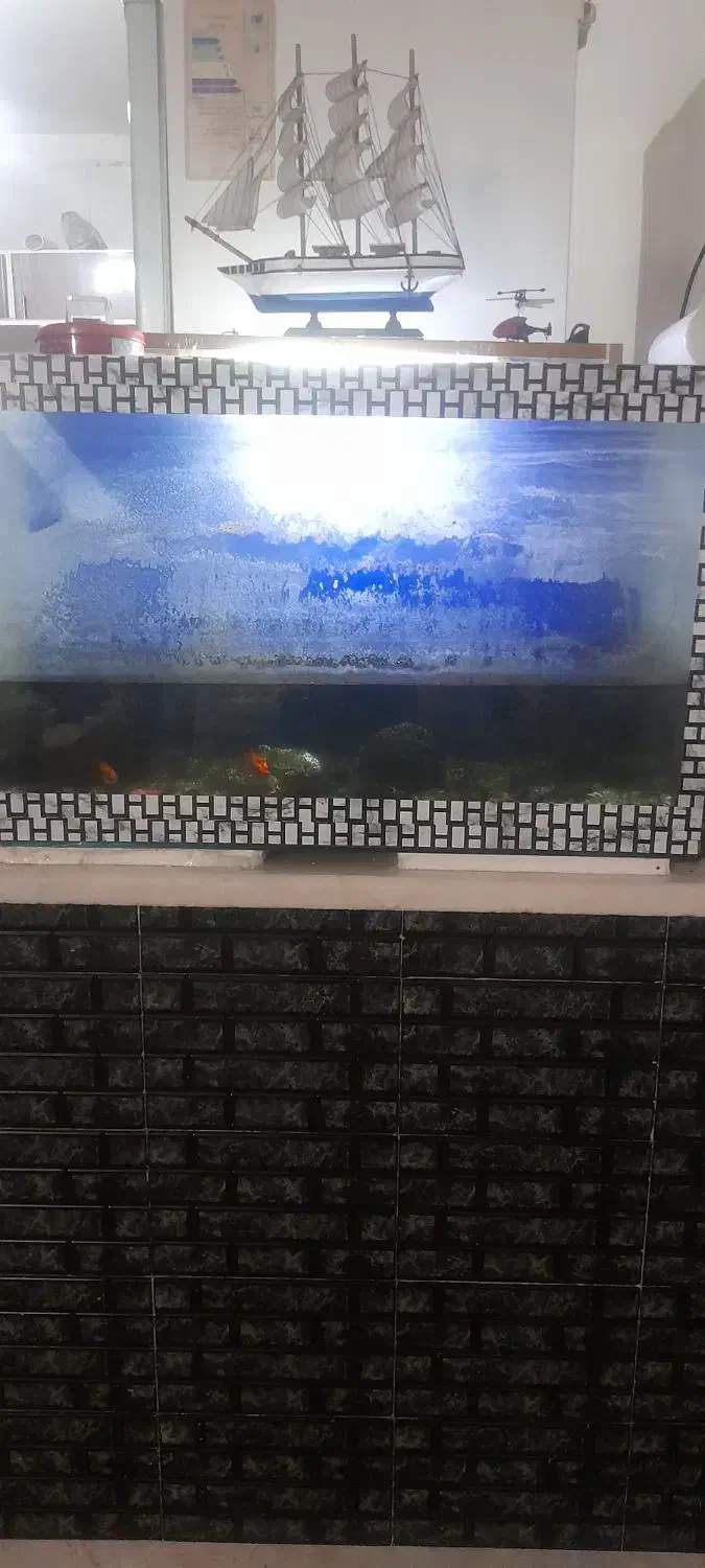 آکواریوم با تمام وسایل|ماهی|قرچک, مهدیه|دیوار