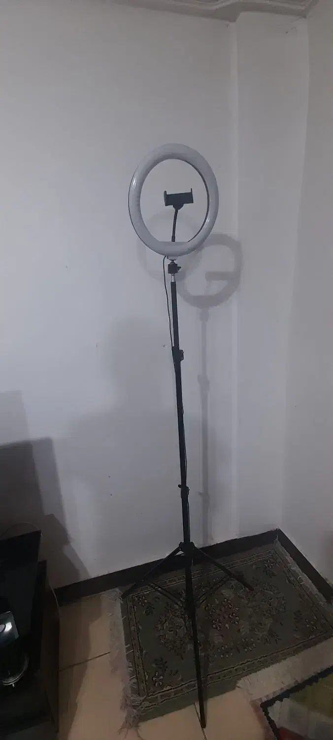 رینگ لایت در سه رنگ|دوربین عکاسی و فیلمبرداری|رشت, جانبازان|دیوار