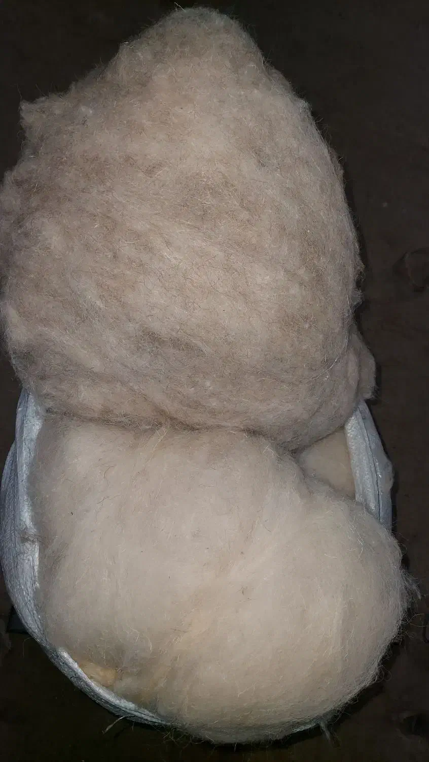 پشم گوسفند خالص و شسته شده و پشم شتر|رختخواب، بالش، پتو|کهریزک, |دیوار