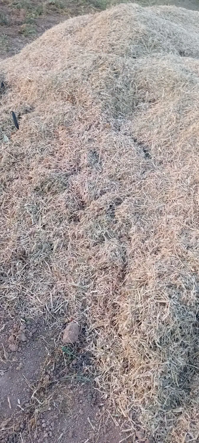 کاه لوبیا|لوازم جانبی حیوانات|قیدار, |دیوار