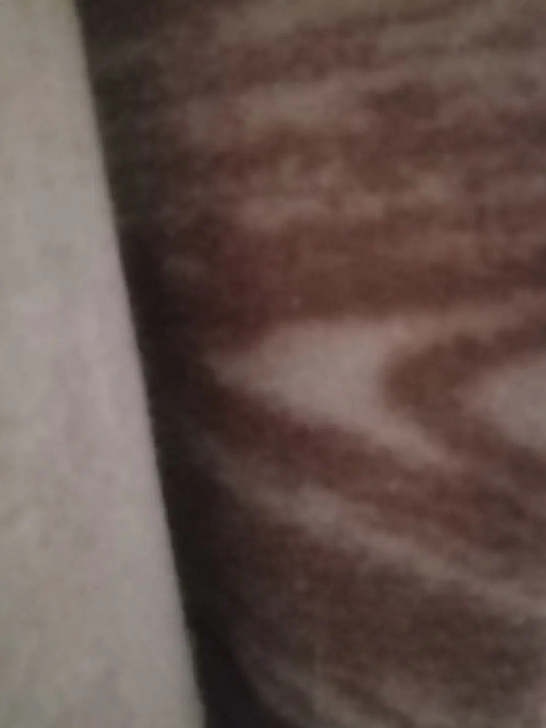 موکتقهوای|موکت|بروجرد, |دیوار