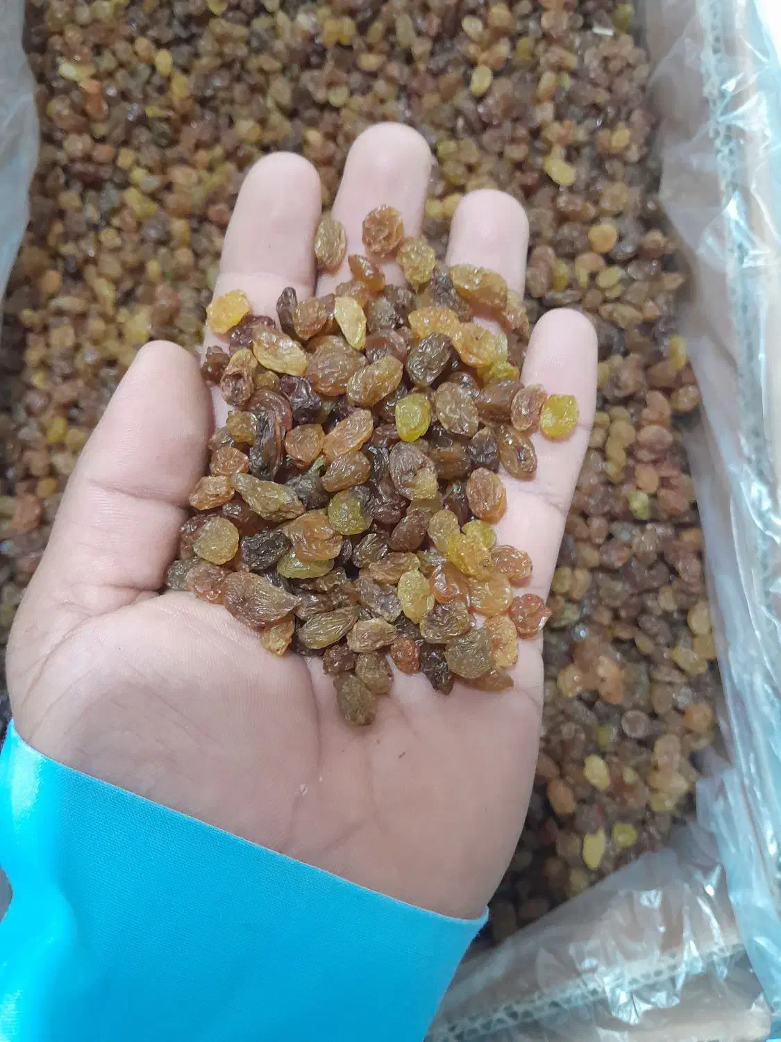 کشمش درجه ۱و۲|خوردنی و آشامیدنی|اهواز, نادری|دیوار