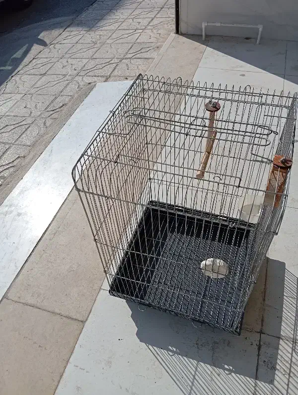 قفس پرنده|لوازم جانبی حیوانات|رباطکریم, کاظمآباد|دیوار