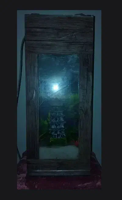 آکواریوم|ماهی|بروجرد, |دیوار