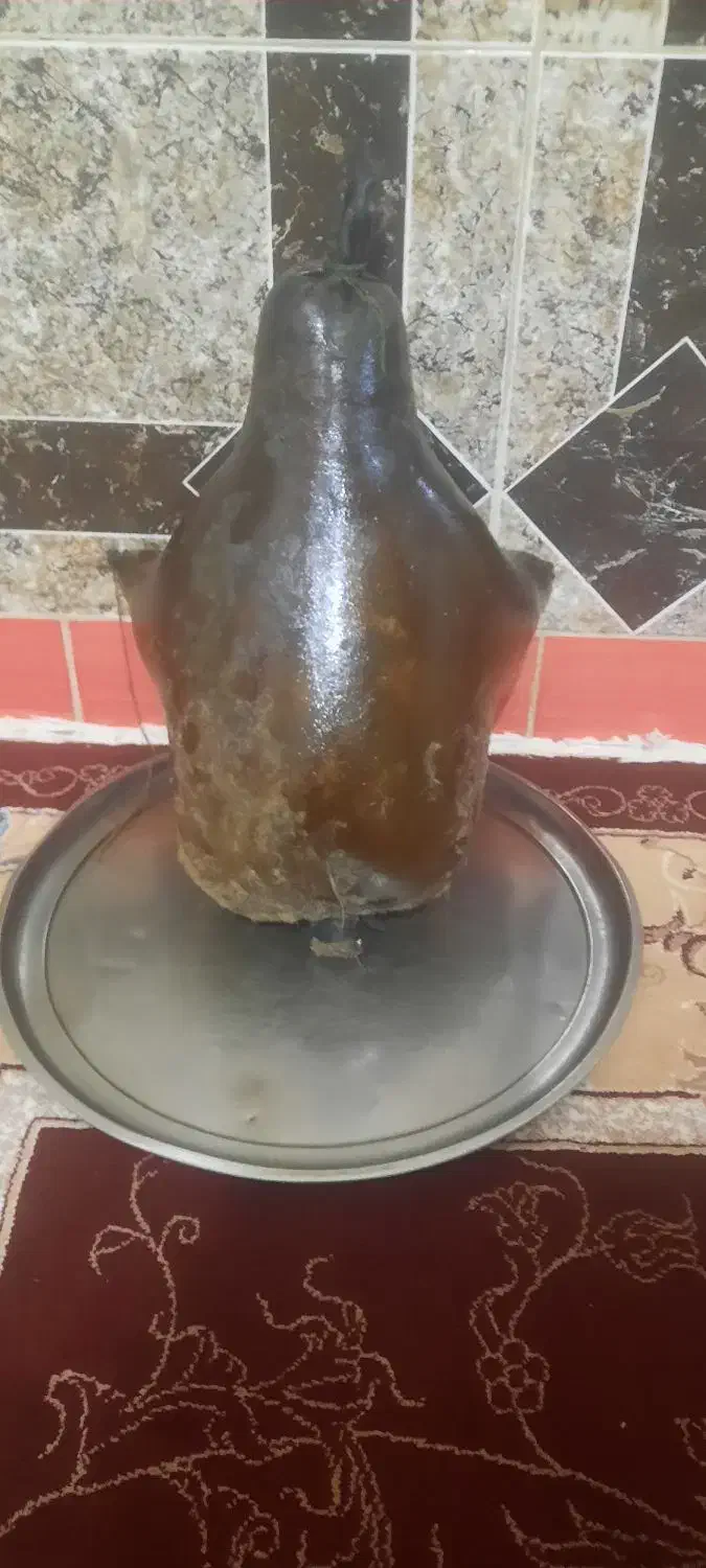 هیزه های نو وسالم|ظروف نگهدارنده، پلاستیکی، یکبارمصرف|نورآباد, |دیوار