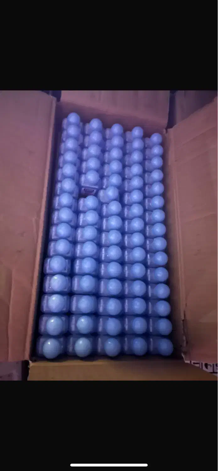 شامپو ی هتلی ایوان|آرایشی، بهداشتی، درمانی|ارومیه, |دیوار