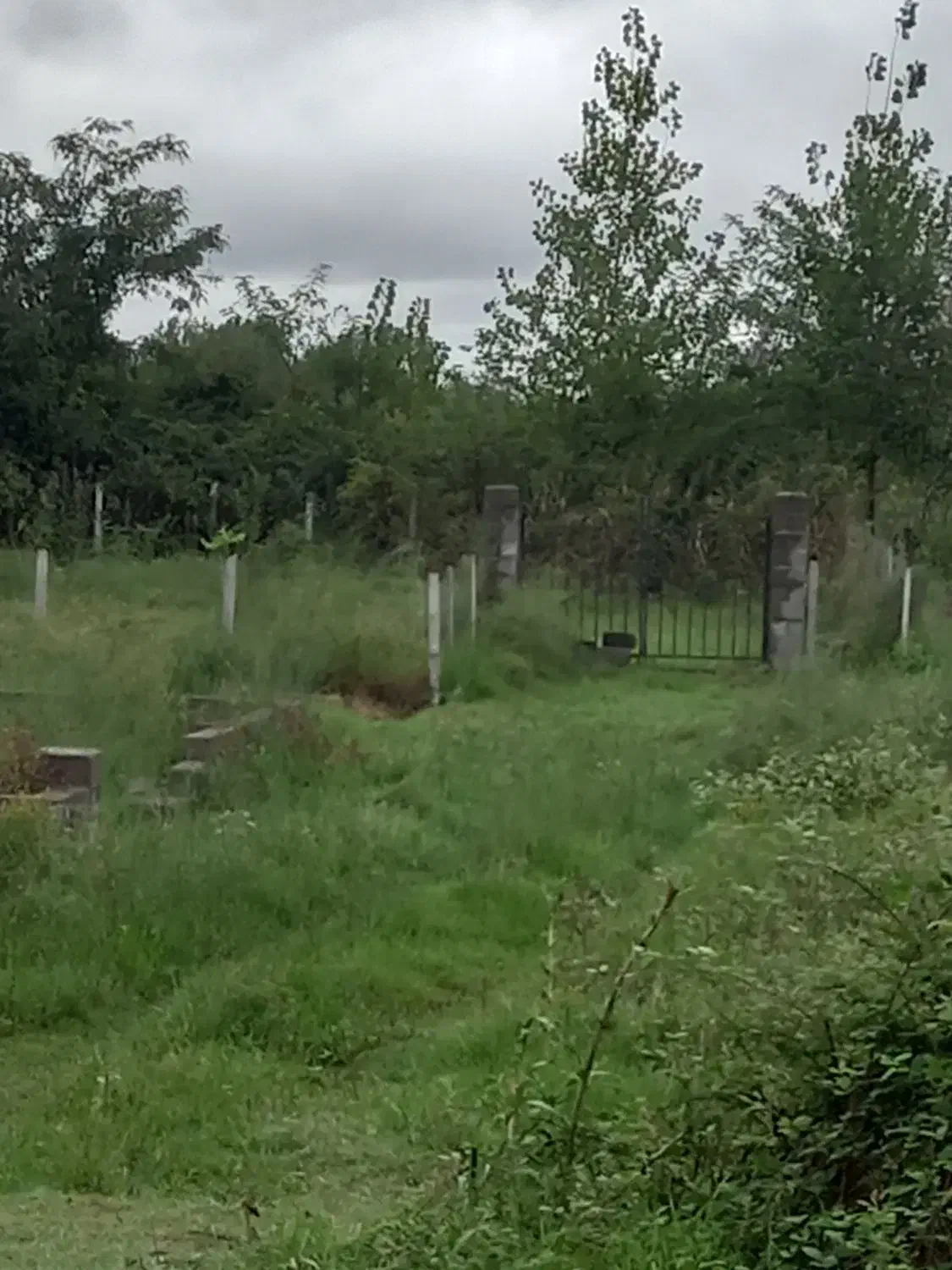 زمین ۲۵۰ متری باغی دور فنس|فروش زمین و ملک کلنگی|رشت, آب و برق|دیوار