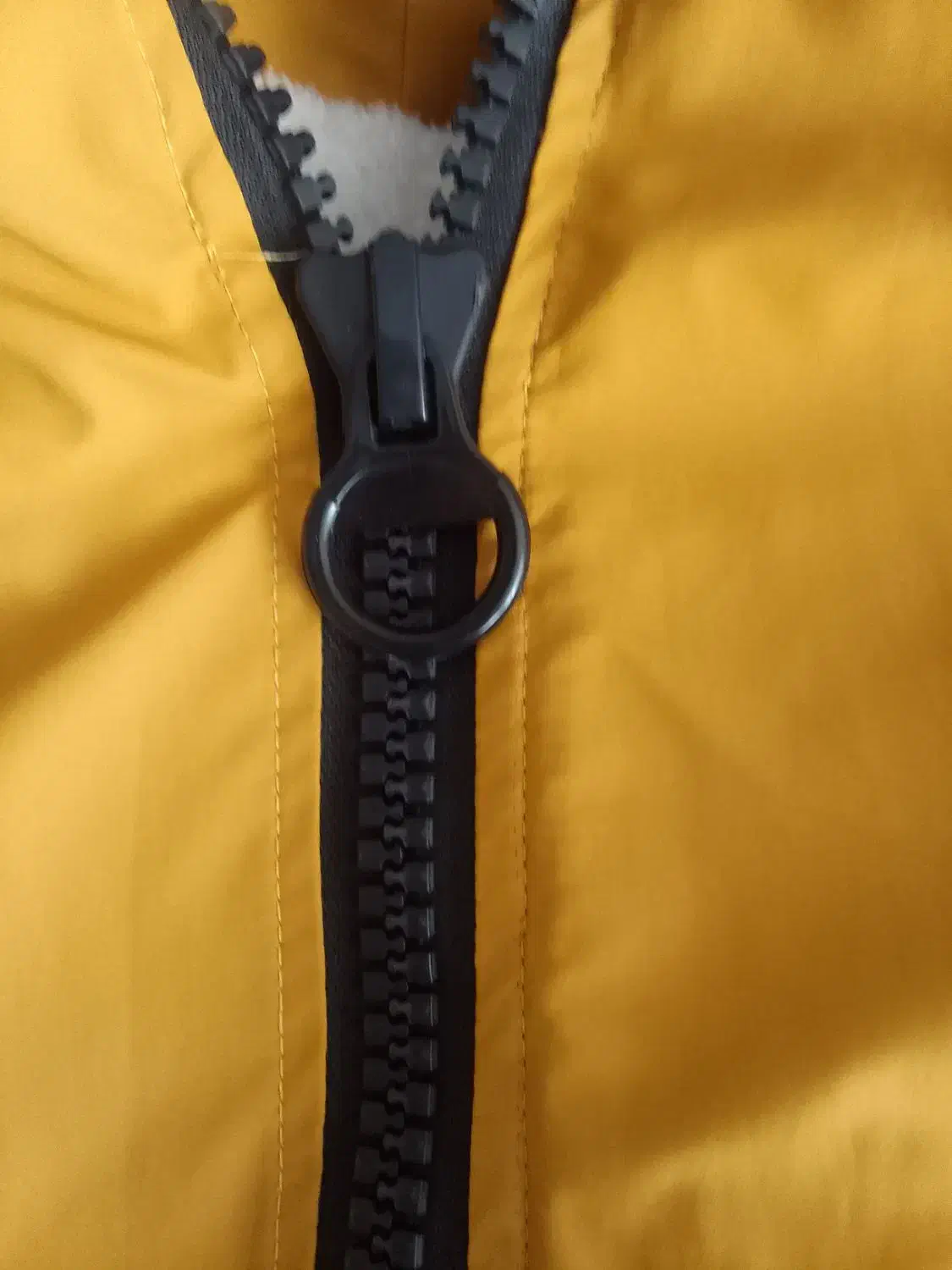 کاپشن وبارونی|لباس|شهرکرد, |دیوار