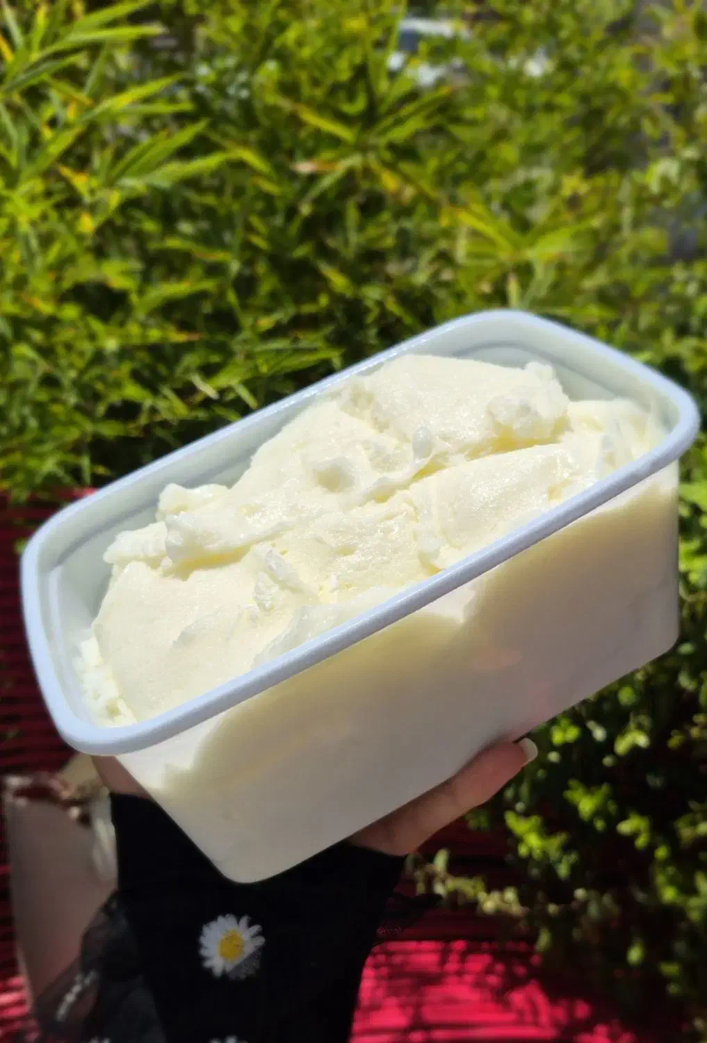 بستنی و پالوده سنتی شیراز|خوردنی و آشامیدنی|شیراز, حافظیه|دیوار