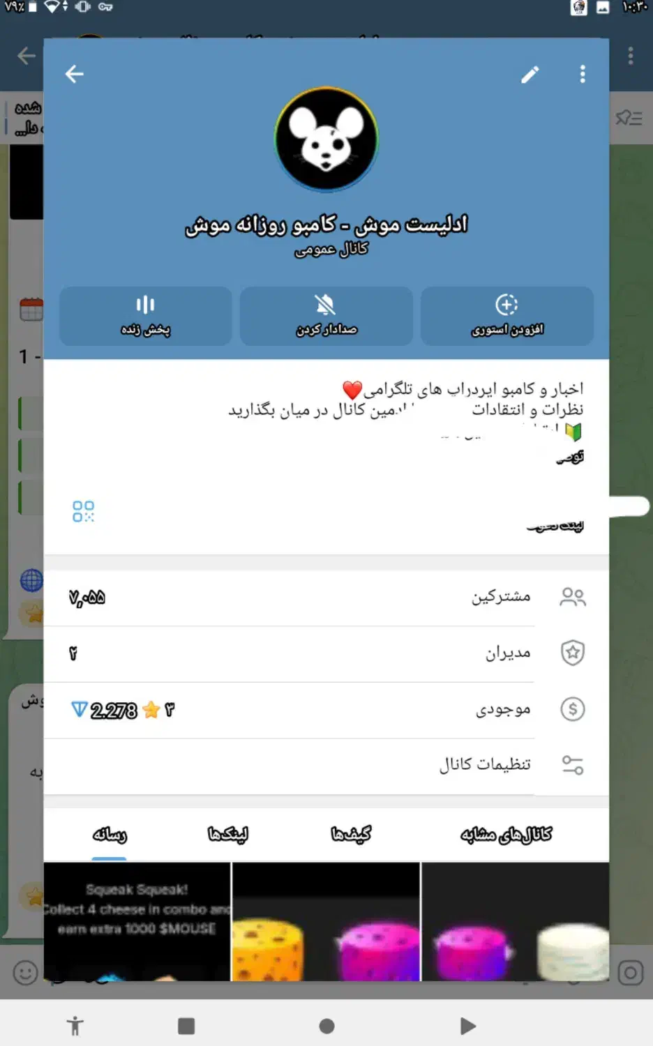 فروش چنل تلگرام به تعداد بالا|لوازم جانبی موبایل و تبلت|هشترود, |دیوار