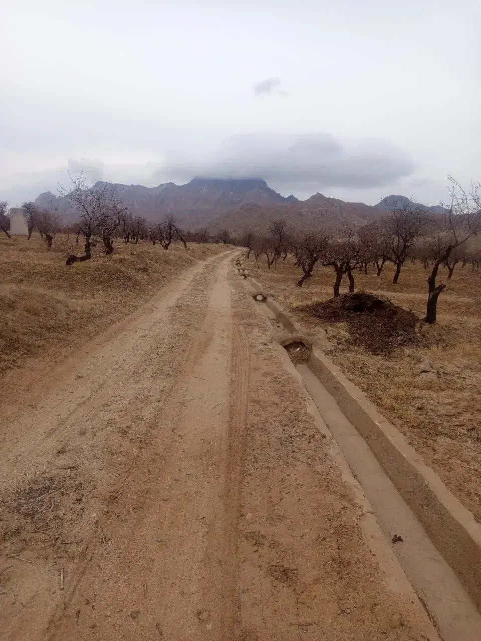 زمین|فروش زمین و ملک کلنگی|مهریز, |دیوار