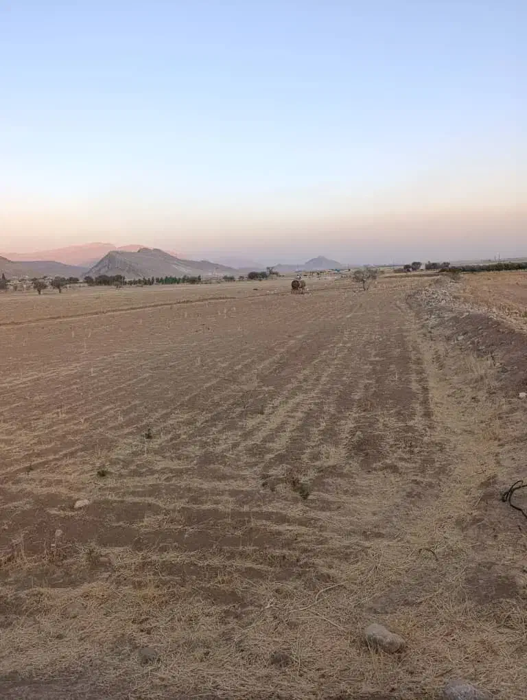 فروش سه هزارمتر زمین|فروش دفتر صنعتی، کشاورزی، تجاری|بانش, |دیوار