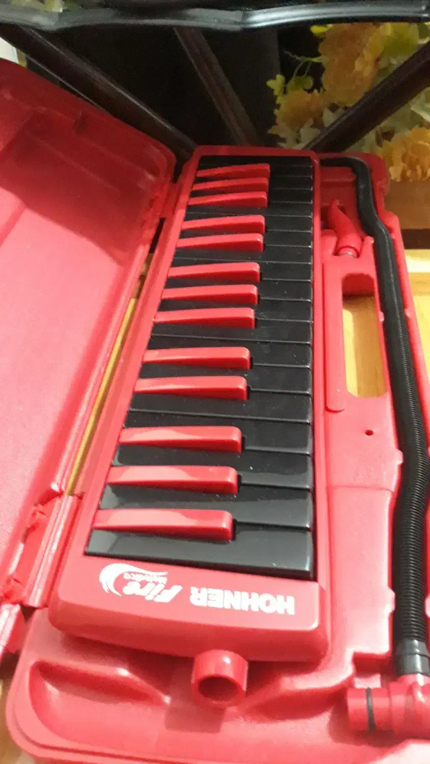 ارگ  ملودین.. درام DM5|پیانو، کیبورد، آکاردئون|لاهیجان, بازکیاگوراب|دیوار