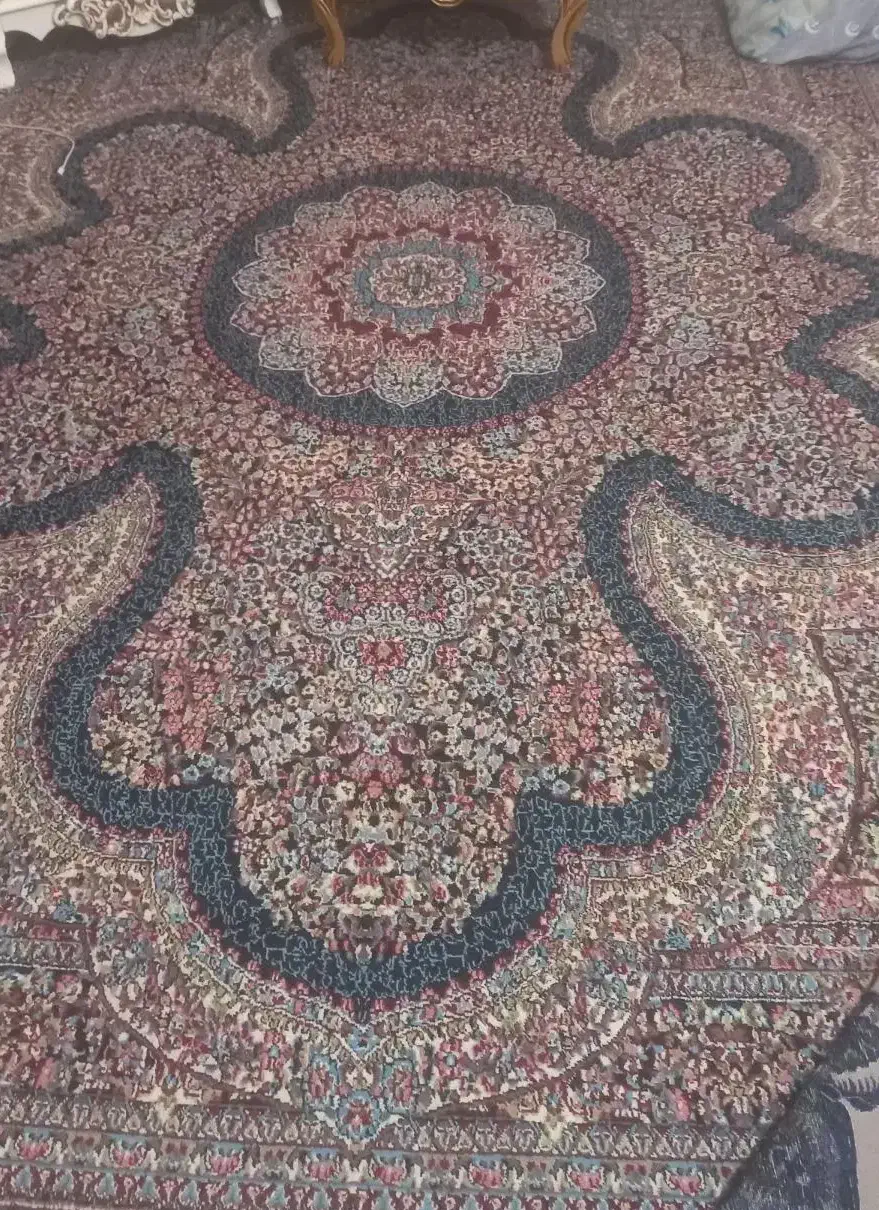 قالی سرمه ای|فرش|کرمان, |دیوار