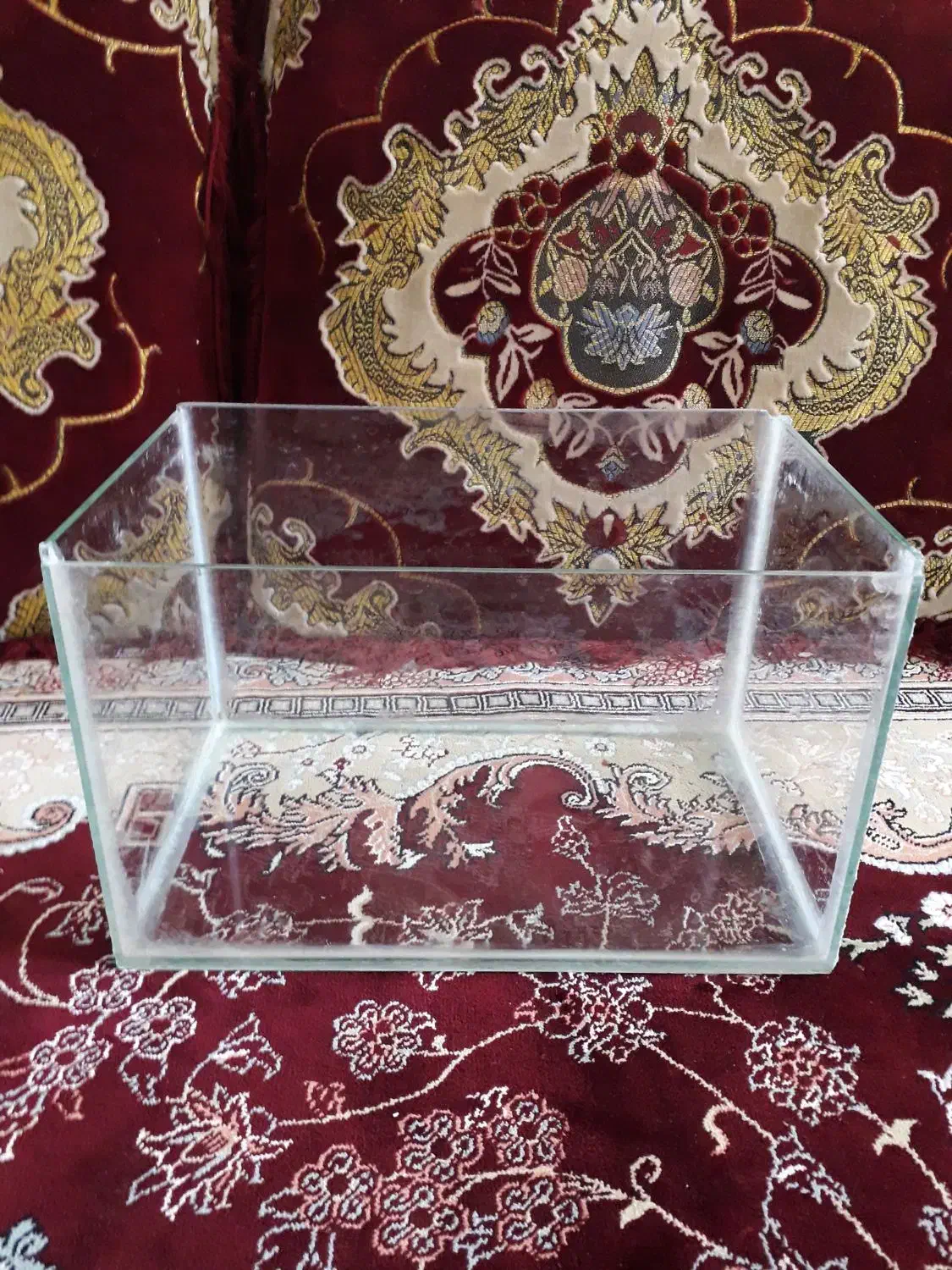 آکواریوم|ماهی|ابهر, |دیوار