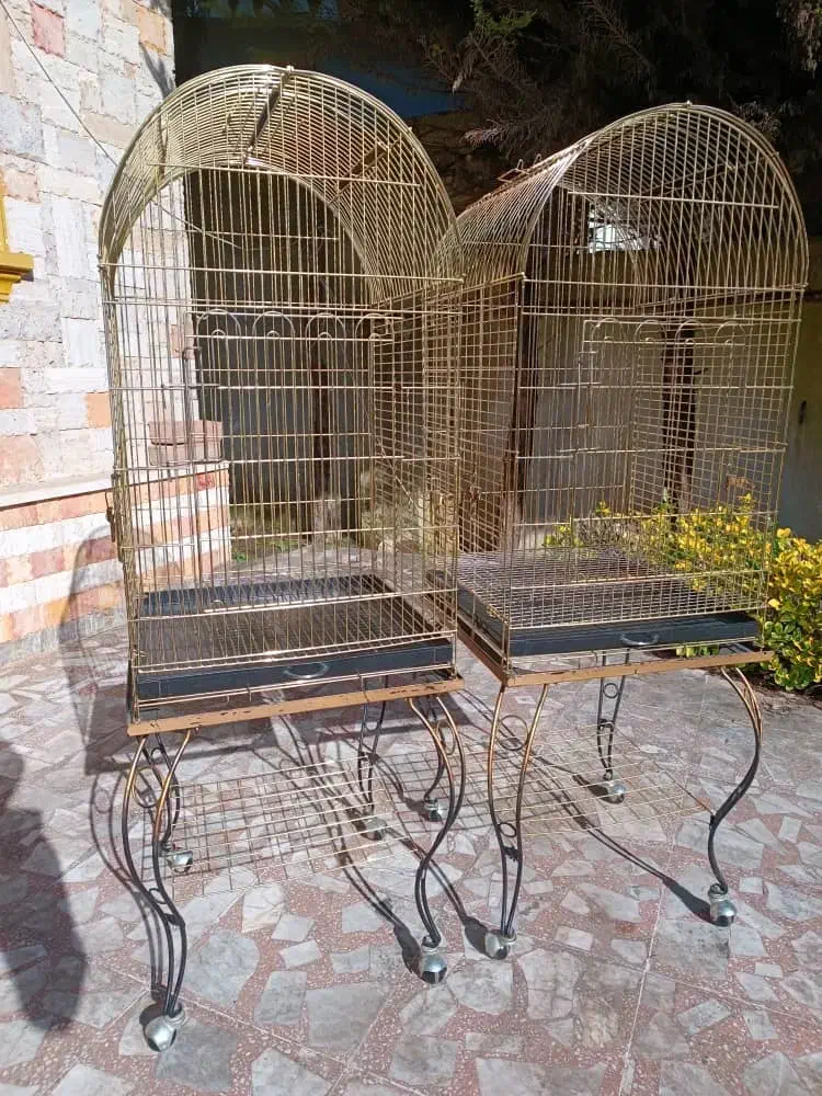 قفس حرفه ای|لوازم جانبی حیوانات|عباس‌آباد, |دیوار