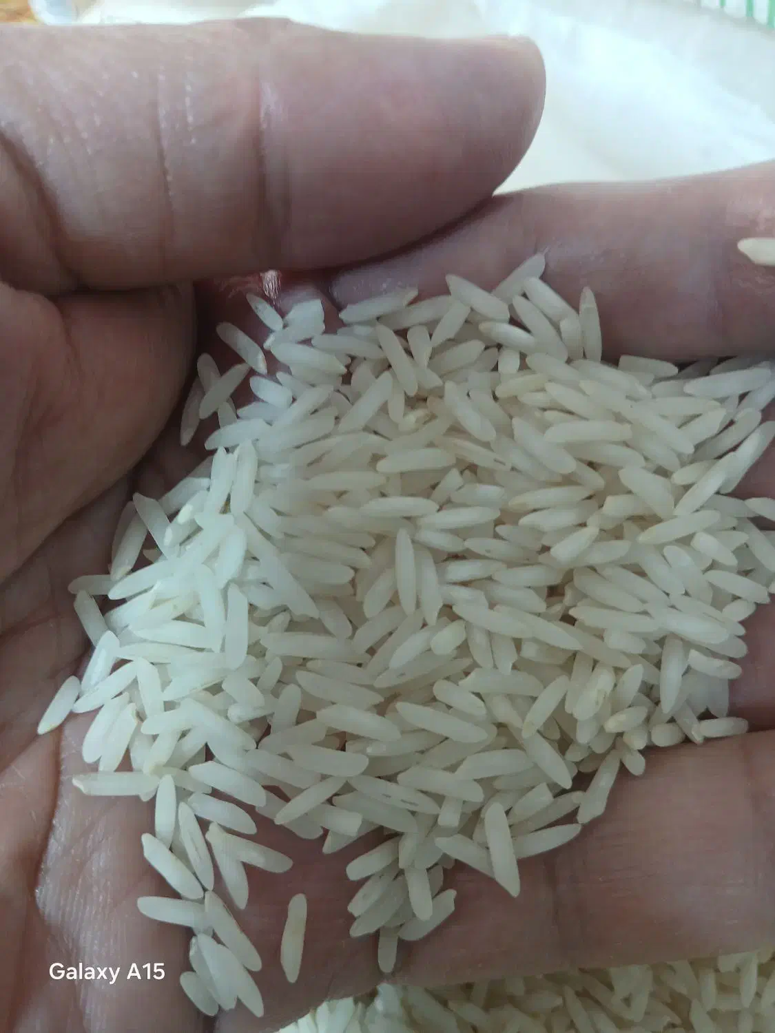 طارم  معطر و خوش پخت مجلسی|خوردنی و آشامیدنی|قم, بنیاد|دیوار