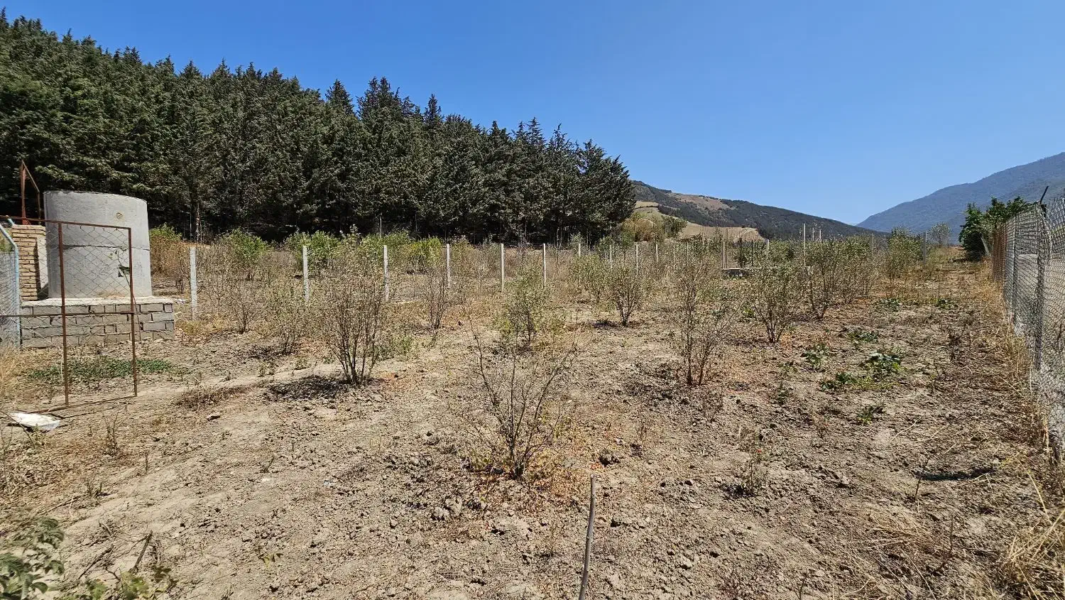 زمین باقرآباد رامیان|فروش زمین و ملک کلنگی|رامیان, |دیوار