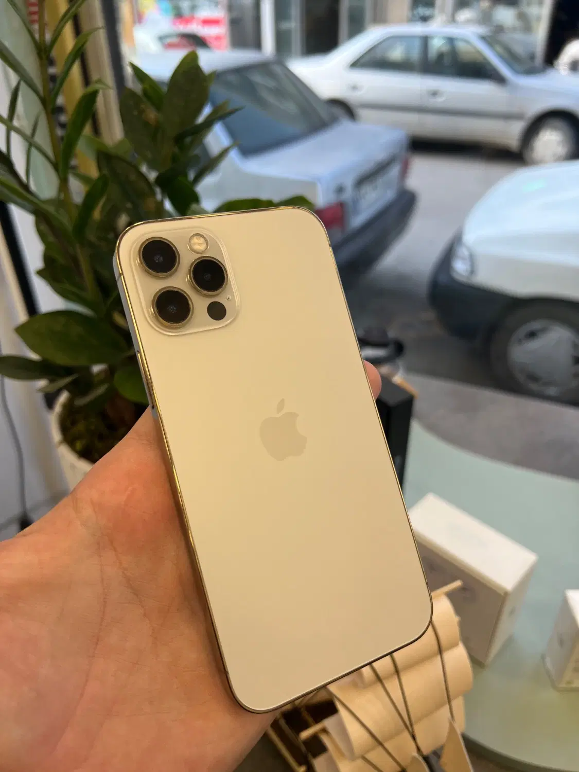 iPhone12pro|موبایل|بناب, |دیوار