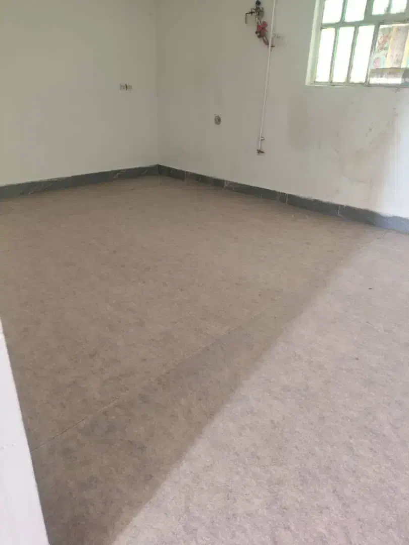 موکت|موکت|دوگنبدان, |دیوار