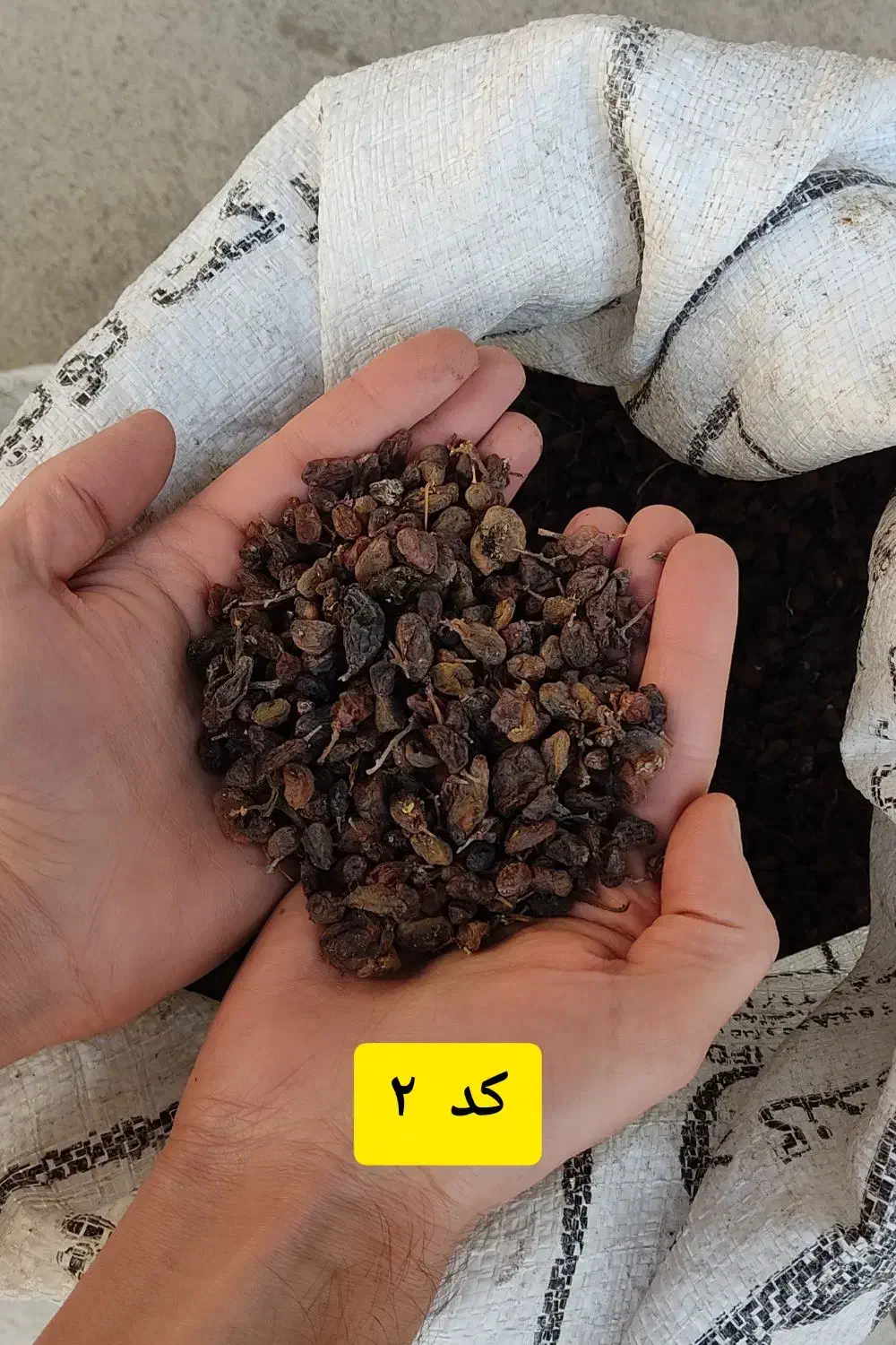 پخش کشمش|خوردنی و آشامیدنی|تبریز, |دیوار