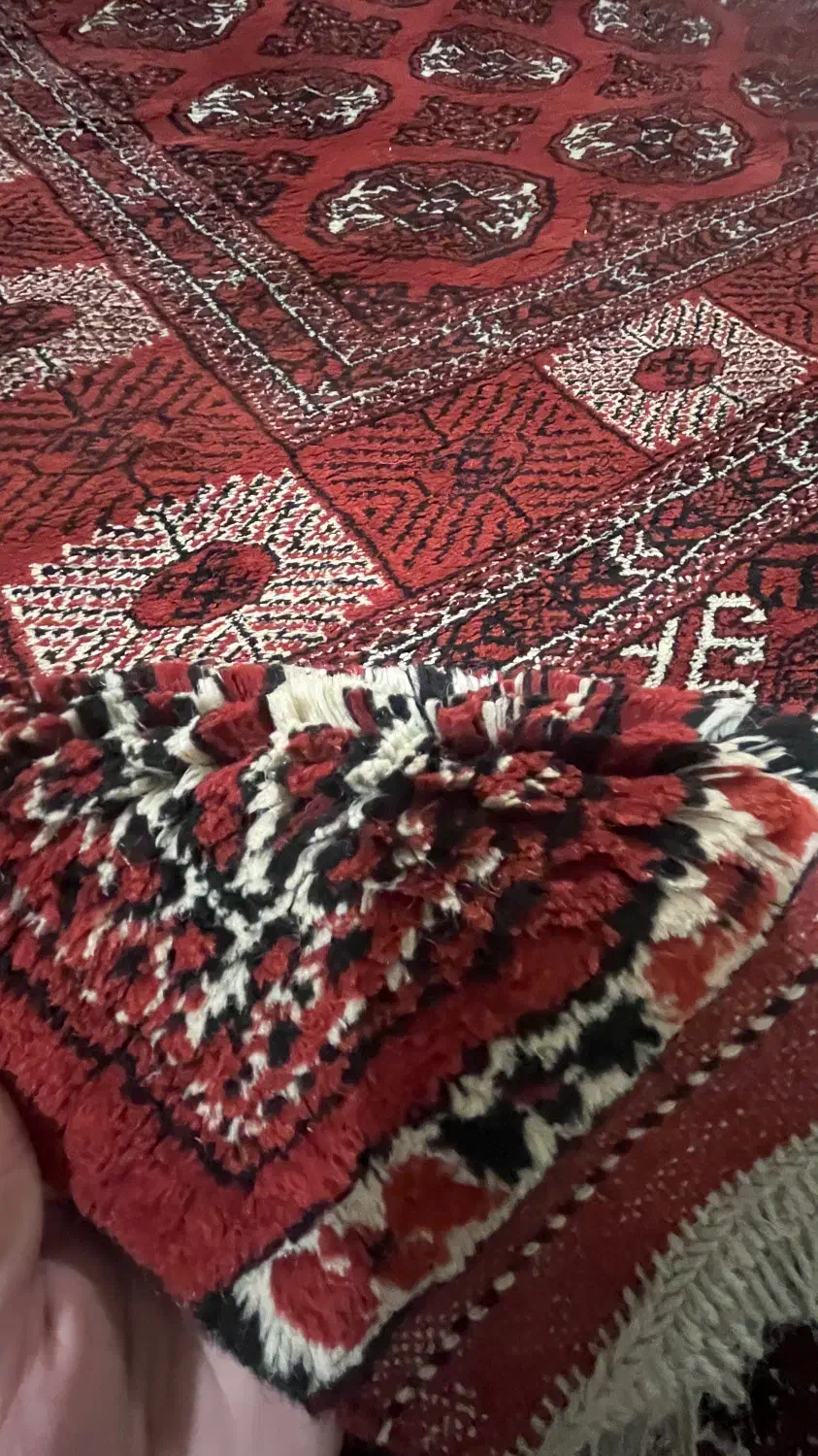 فرش دستباف|فرش|گنبد کاووس, |دیوار