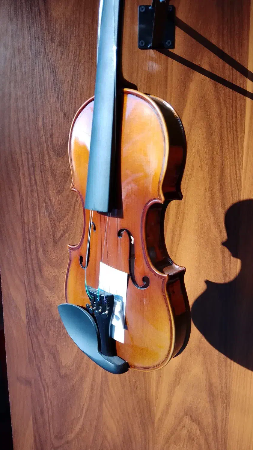 ویولن ۲/۴ سویینگ|ویولن|مشکین‌دشت, |دیوار