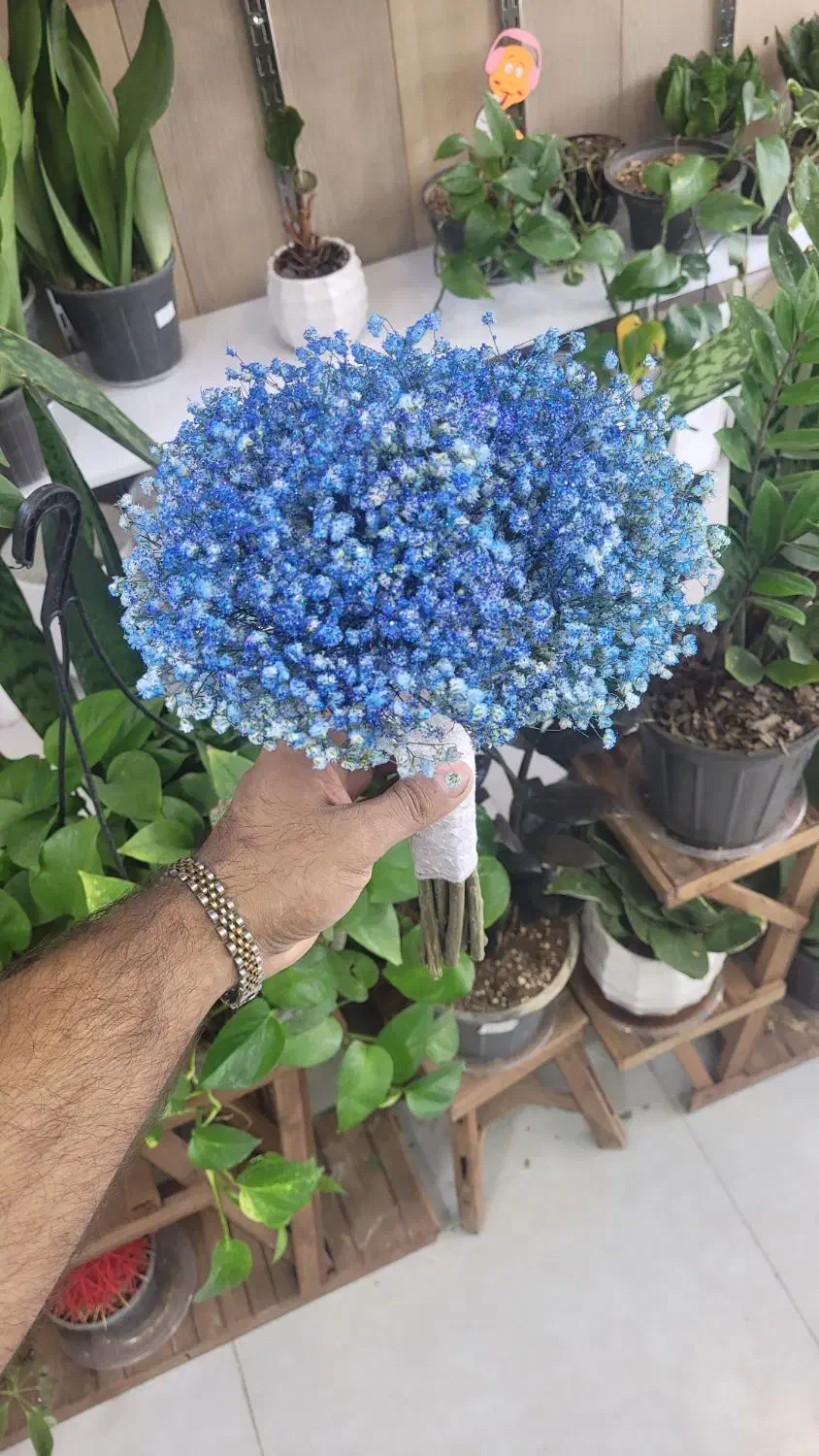 دسته گل عروس|گل و گیاه طبیعی|شیراز, خلدبرین|دیوار